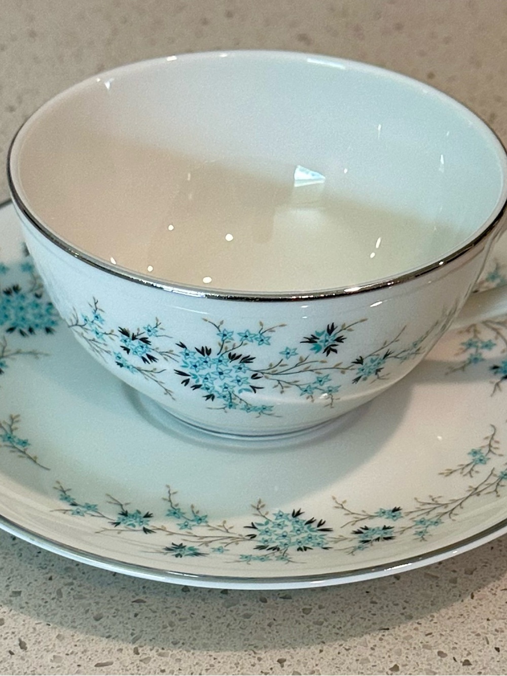 White Porcelain Teacup & Saucer with Aqua Floral Accent